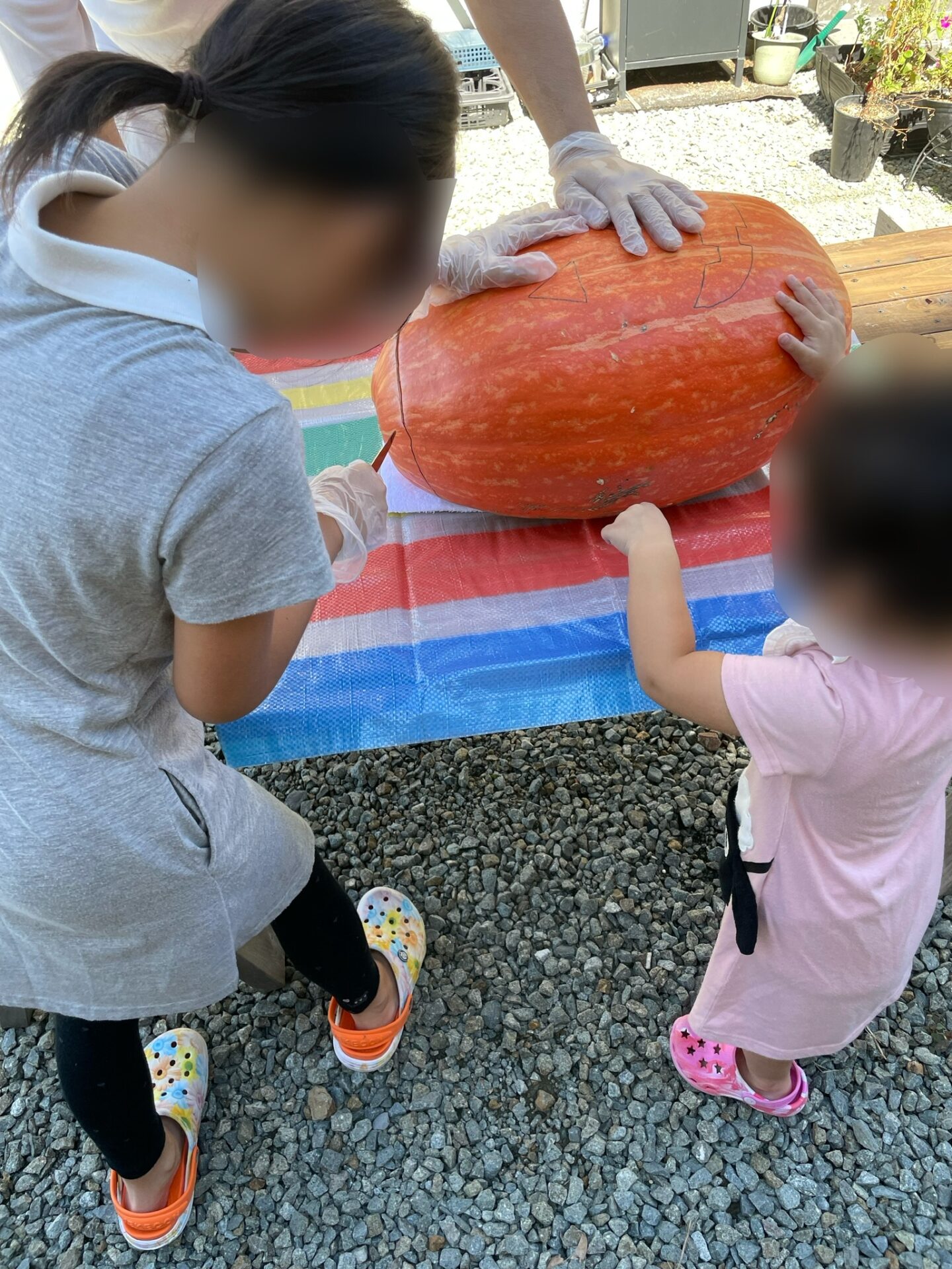 かぼちゃの中身を取り出すための穴をあけます！子供も楽しそうです。